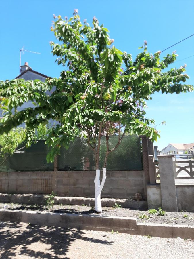 La Petite Escale Villa Vierzon Bagian luar foto